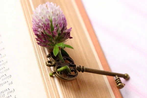 Old metal key on vintage book — Stock Photo, Image