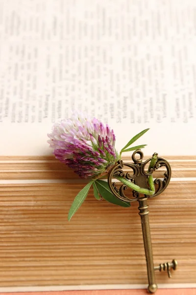 Metal key on vintage book — Stock Photo, Image