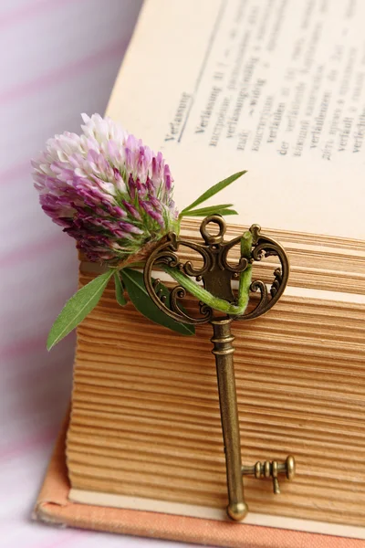 Key with a flower and old book — Stock Photo, Image