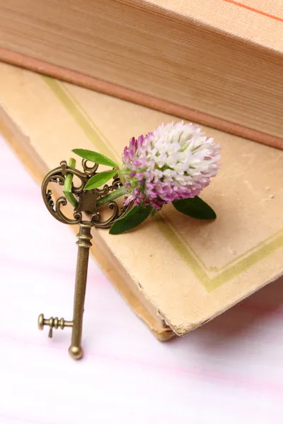 Golden key on thick hard cover book — Stock Photo, Image