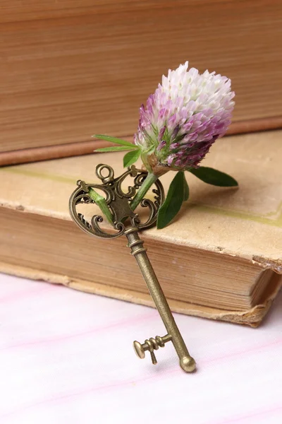 Beautiful Antique Key Flower Old Book Isolated White — Stock Photo, Image