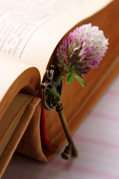 Old metal key on vintage book — Stock Photo, Image