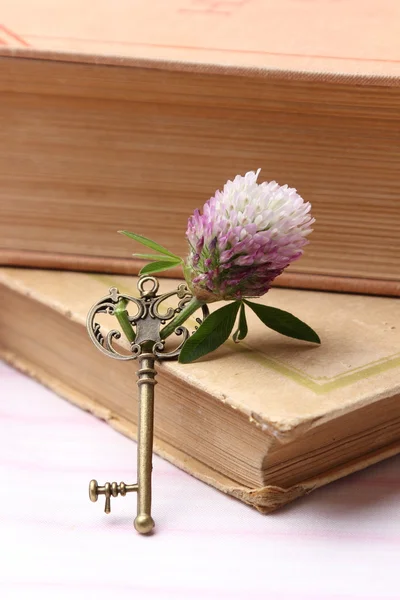 Ключ с цветком и старой книгой — стоковое фото