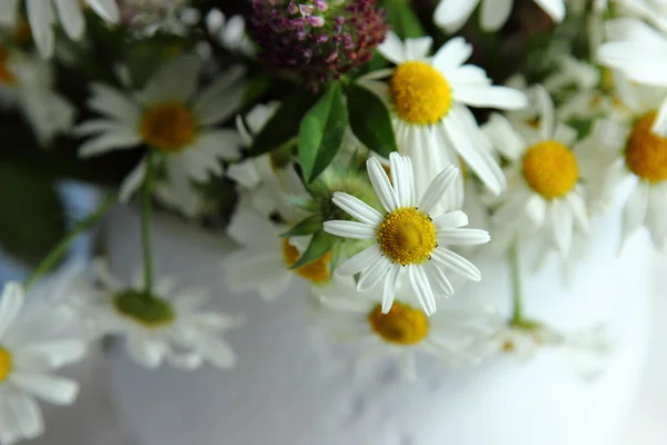 Bouquet of  daisies flowers — Stock Photo, Image