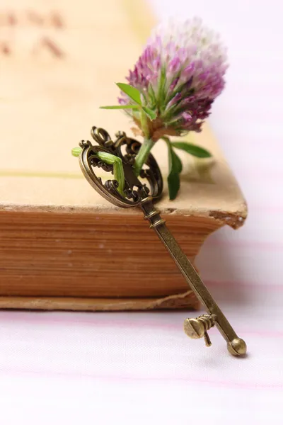Sztuka książki z klasycznym klucz — Zdjęcie stockowe