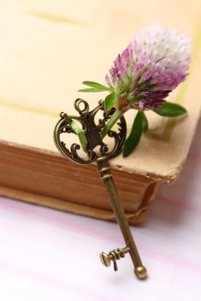 Old book with vintage key — Stock Photo, Image