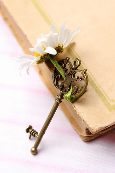 Key with chamomile and old book — Stock Photo, Image