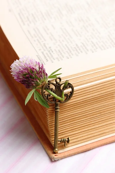 Key with a flower and old book — Stock Photo, Image