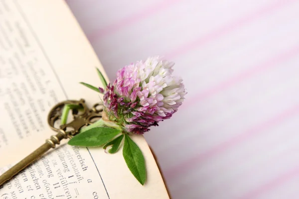 Open book with old key — Stock Photo, Image