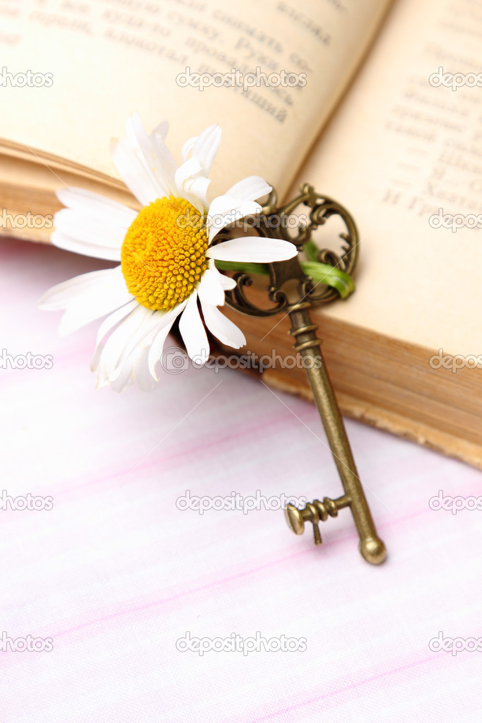 Key with fresh chamomile and old book