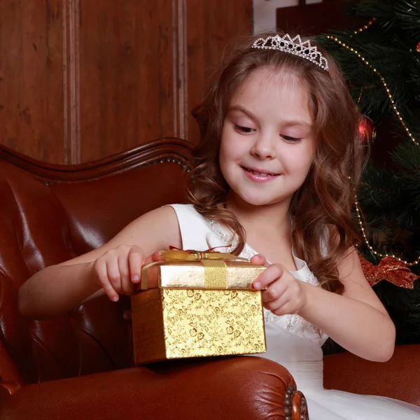 Lovely princess wearing white dress and tiara — Stock Photo, Image