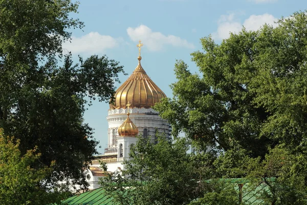 Utsikt Över Katedralen Kristus Från Krymskaya Naberezhnaya Vattnet Moskva Ryssland — Stockfoto