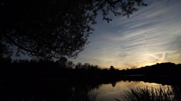 Timelapse piękny letni wieczór nad jeziorem w parku miejskim. Widok spod gałęzi wierzby. — Wideo stockowe