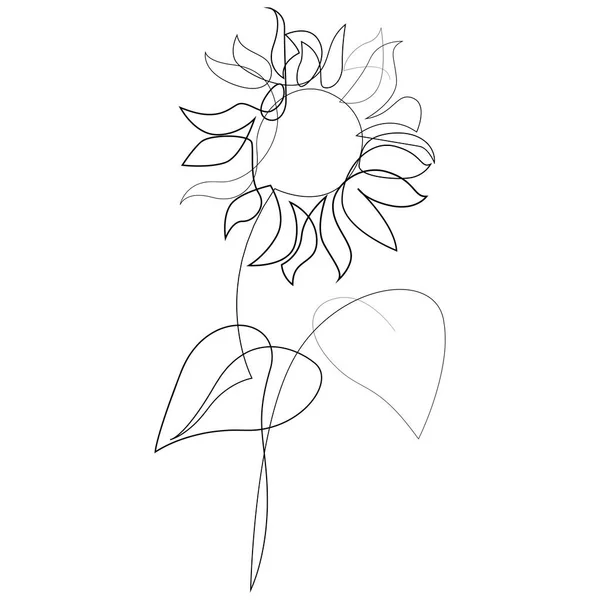 Continuous Line Sunflower Logo Sunflower Single Line Vector Illustration — Stock Vector