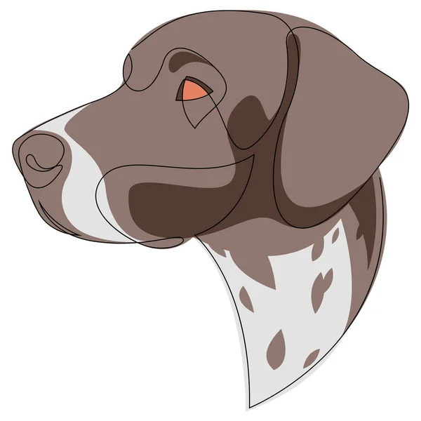 Duits kortharig Pointer vector Hond portret. Continue lijn met kleur. Hond een lijn tekening — Stockvector