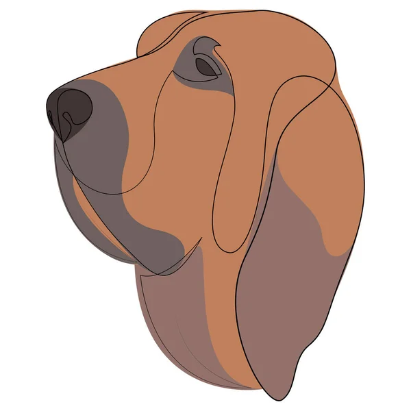 Continuous line Bloodhound. Single line minimal style dog vector illustration. Portrait — Stock Vector