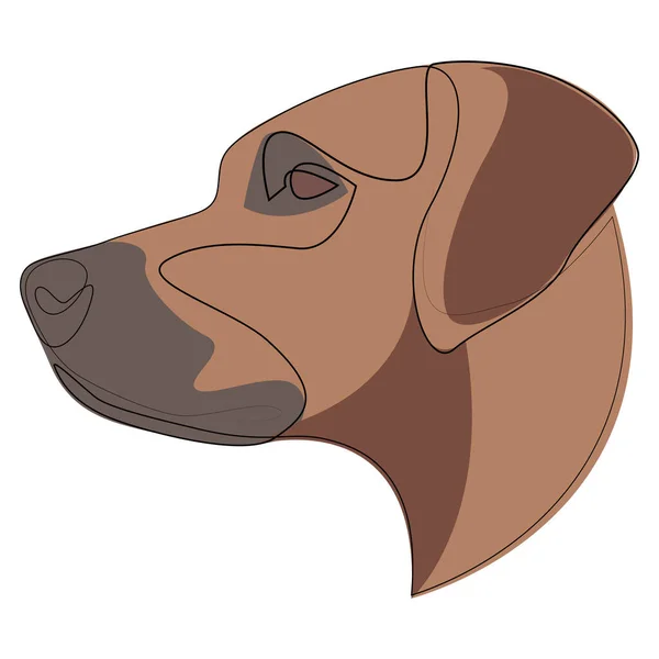 Continuous line Rhodesian Ridgeback. Single line minimal style African Lion Dog vector illustration. Portrait — Stock Vector