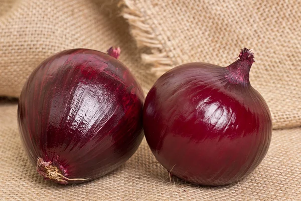 Fresh onion on sacking — Stock Photo, Image