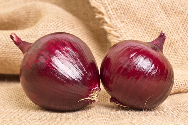 Fresh onion on sacking — Stock Photo, Image