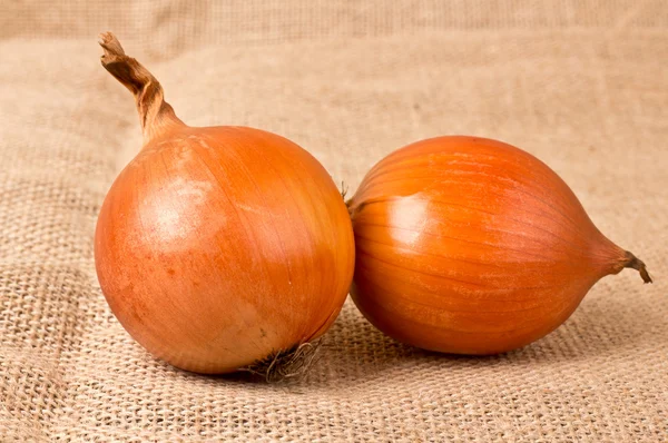 GOLDEN onions — Stock Photo, Image