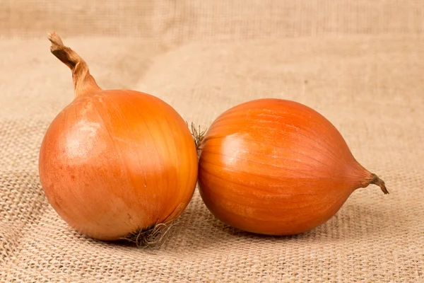 GOLDEN onions — Stock Photo, Image