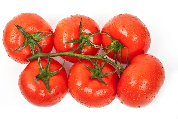 Fresh tomatoes with drops of dew — Stock Photo, Image