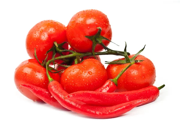 Fresh tomatoes and hot peppers — Stock Photo, Image