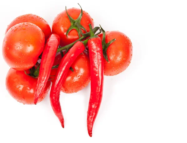 Fresh tomatoes and hot peppers — Stock Photo, Image