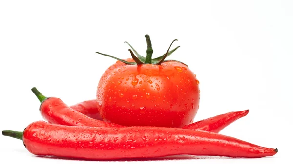 Свіжі помідори та гострий перець — стокове фото