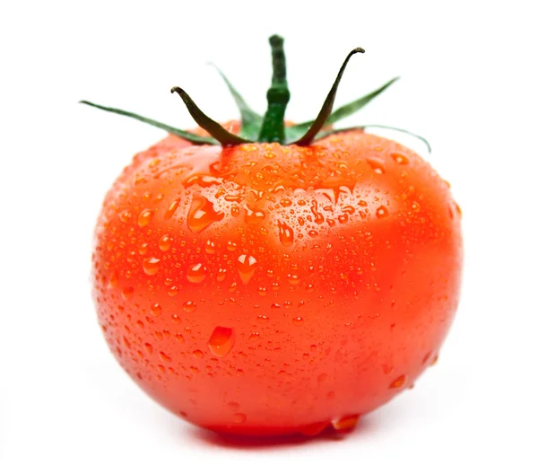 Tomate mit Wassertropfen — Stockfoto