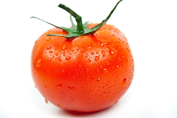 Tomate mit Wassertropfen — Stockfoto