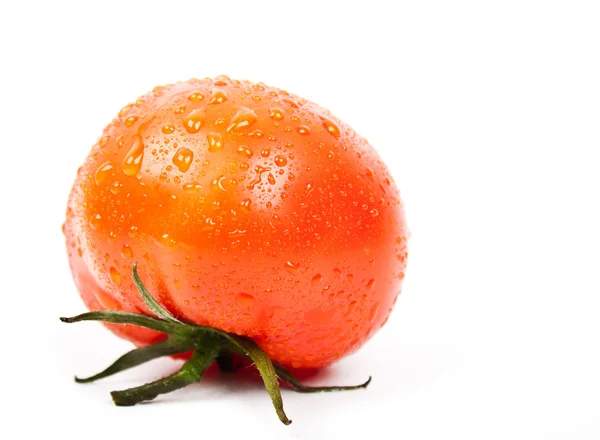 Pomidor z kropelek wody — Zdjęcie stockowe