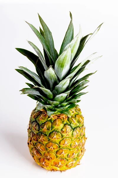 Dojrzały ananas — Zdjęcie stockowe