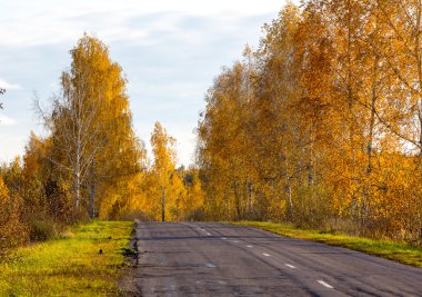 sonbahar yol