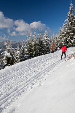 cross-country kayak: güzel bir genç adam cross-country kayak