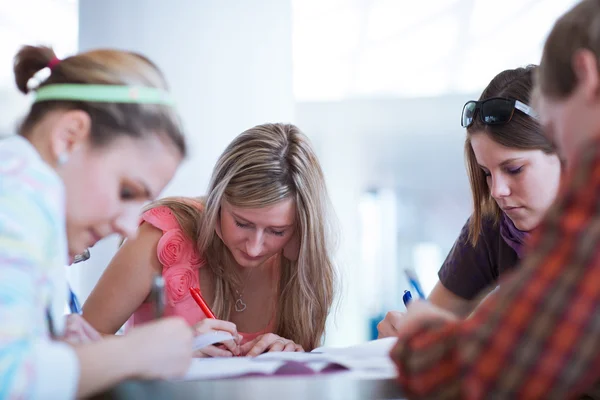 Grupo de estudantes universitários ou universitários durante um freio entre clas — Fotografia de Stock