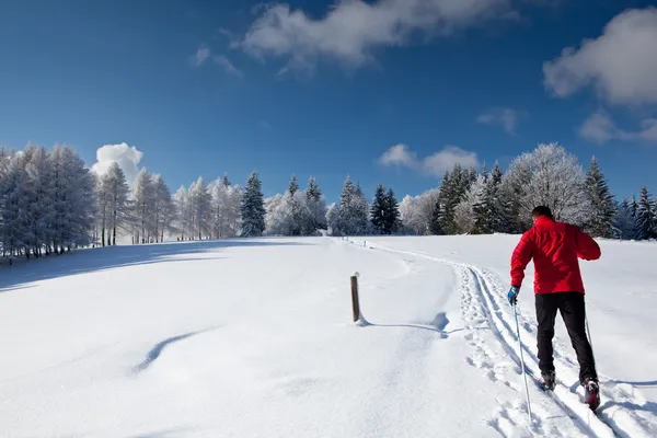 Крос-кантрі: молодий чоловік катається на лижах на прекрасному — стокове фото