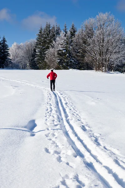 Ski de fond : jeune homme ski de fond sur une belle — Photo