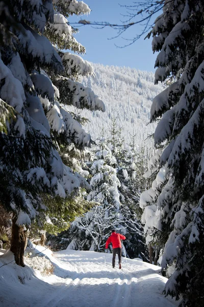 Ski de fond : jeune homme ski de fond sur une belle — Photo