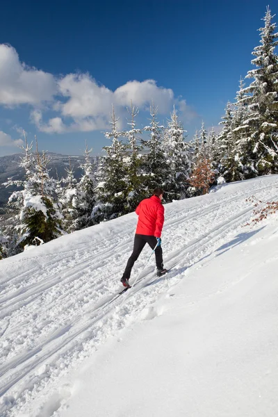 Ανώμαλο να κάνει σκι: σκι αντοχής νεαρός άνδρας σε μια υπέροχη — Φωτογραφία Αρχείου