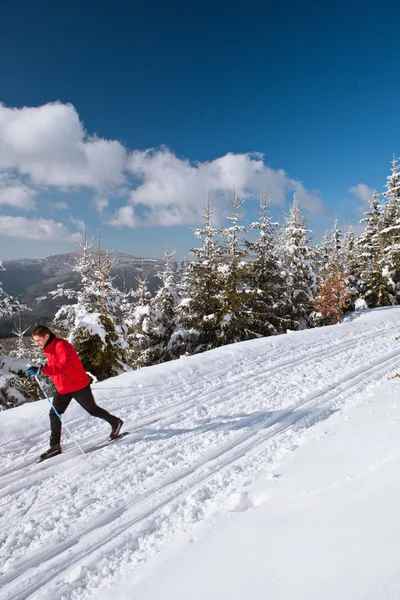 Крос-кантрі: молодий чоловік катається на лижах на прекрасному — стокове фото