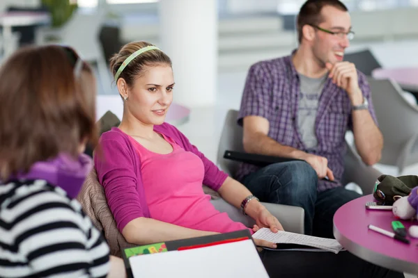 Groep studenten van de hogeschool of Universiteit — Stockfoto