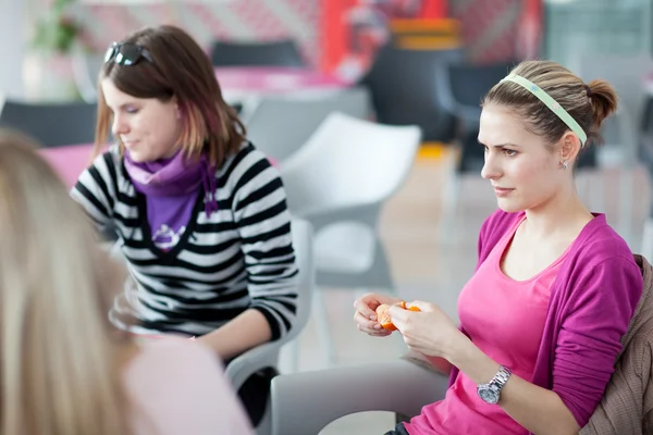 Grup kolej veya Üniversite öğrenci