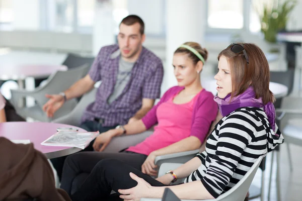 Groep studenten van de hogeschool of Universiteit — Stockfoto