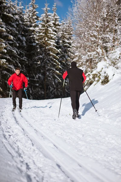 Cross-country skiing: young man cross-country skiing on a lovely Stock Image