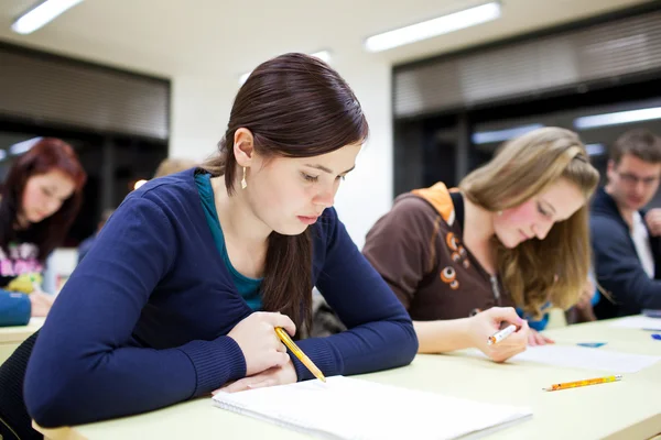 Lassroom plné studentů — Stock fotografie