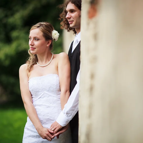 Retrato de una joven pareja de boda —  Fotos de Stock