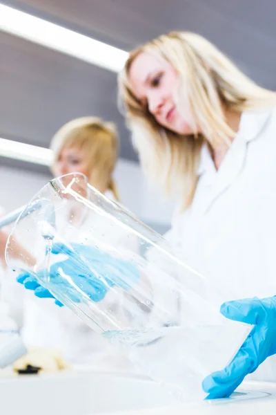 Dos investigadoras trabajando en un laboratorio (imagen tonificada en color) ) —  Fotos de Stock