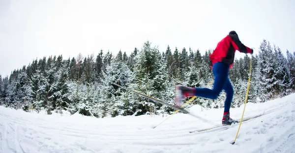 Young man cross-country skiing on a snowy forest trail (motion b — Stock Photo, Image