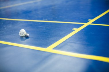 Badminton - badminton kortu iki shuttlecocks ile
